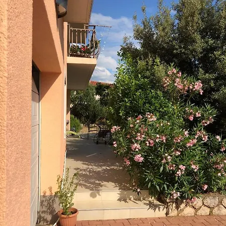 Apartment Ruza *
